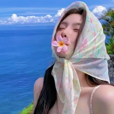 北极大冒险